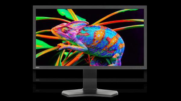 NEC MultiSync PA311D Is Available Now, It Sports 31", True 4K UltraHD Resolution, and Professional Image Quality Features